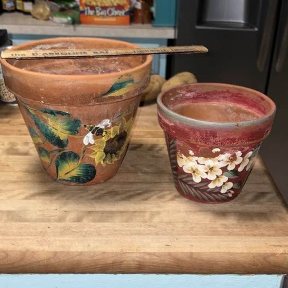Hand-Painted Terracotta Flower Pots - Set of 2